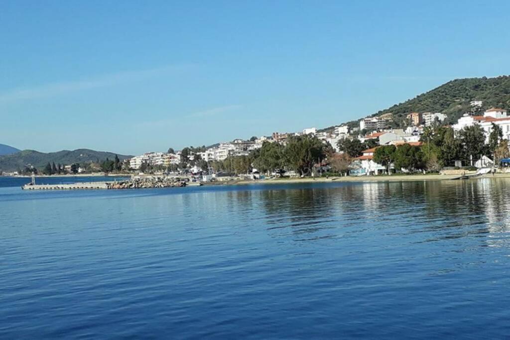 Amazing Sea View-Neos Pyrgos Beach -Evoia Greece Неос-Пиргос Экстерьер фото