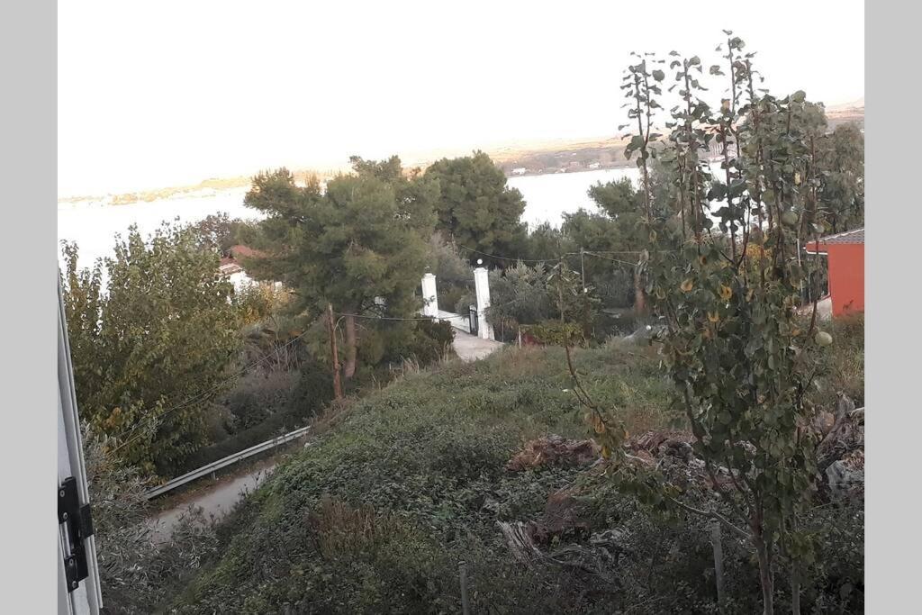 Amazing Sea View-Neos Pyrgos Beach -Evoia Greece Неос-Пиргос Экстерьер фото